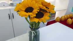 -斐尔国际皮肤管理中心