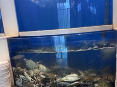 -海天盛宴新派海鲜自助餐厅(群力店)