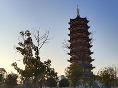 -葛仙湖公园