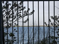-江滩湿地公园