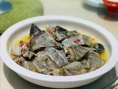 清蒸太湖甲鱼-宝界普菲特湖畔酒店