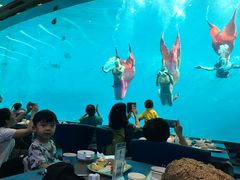 -瑞德姆美人鱼海底演艺主题餐厅(亚龙湾店)