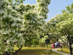 -国家植物园南园