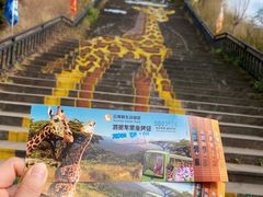 -云南野生动物园