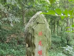 -上海佘山国家森林公园天马山园