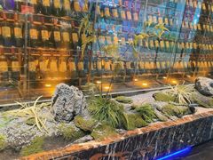 -吉布鲁牛排海鲜自助(巴南万达广场店)