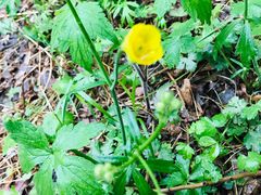 -碓臼峪自然风景区