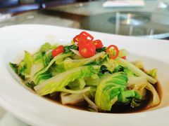 葱油罗马生菜-北京老铺烤鸭(第五国际店)