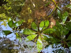 -众神白水涧景区