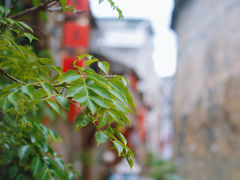 -泰宁旅游风景名胜区