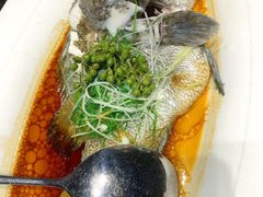 -鑫悦楼煎蟹·16年海鲜大排档