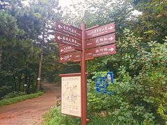 -北京西山国家森林公园