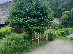 -白川乡与五箇山的合掌构造村落