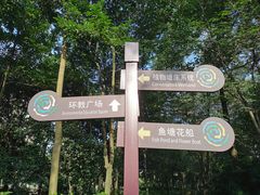 -成都市活水公园