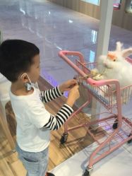 -Moni星球萌宠·小马宝莉·灵蛇·高端高阶全萌宠互动体验俱乐部(红豆国际广场店)