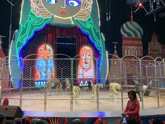 -俄罗斯国家大马戏团