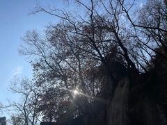 -泰山风景名胜区