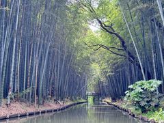 -同里国家湿地公园