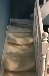 -YOUNGSKIN氧研皮肤管理中心