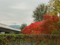 -永定河休闲森林公园