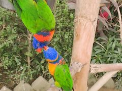 -南宫五洲植物乐园