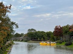 -上海海湾国家森林公园