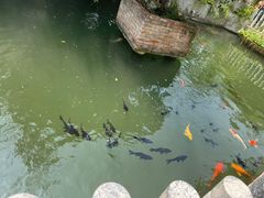 -千滋百味·醉江澜花园餐厅(街道口店)