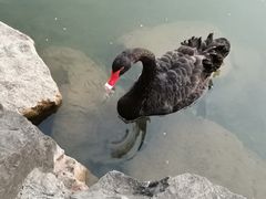 -上海怡沁园度假酒店
