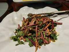 香麻野蕨菜-九十九顶毡房(阜石路店)