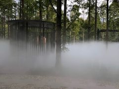 -黄海国家森林公园