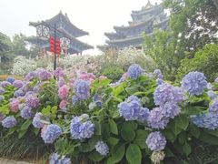 -阅江楼风景区
