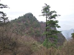 -秦岭天竺山景区