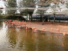 -鄂尔多斯野生动物园