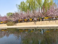 -元大都城垣遗址公园