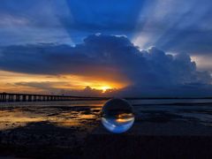 -宝安西湾红树林湿地公园