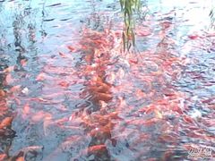 -西湖天地