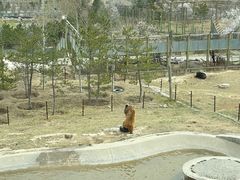-青藏高原野生动物园