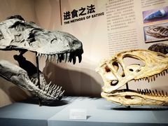 -自贡恐龙博物馆