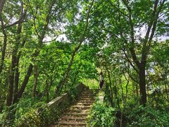 -青龙山国家森林公园