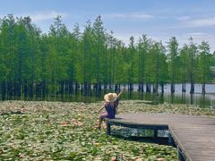 -白鹭湾湿地公园