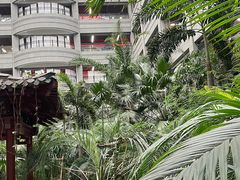 -黑龙江中医药大学附属第一医院