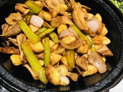-金春禧(世茂国际广场店)