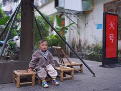 -泡桐树街