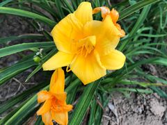 -永定河休闲森林公园