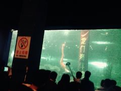 -洛阳龙门海洋馆