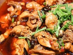 -成老灶火锅鸡(高东街店)