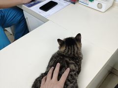 -宠颐生中康贝怡动物医院