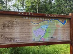 -汤旺河林海奇石景区