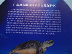 -广东惠东海龟国家级自然保护区