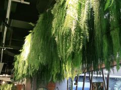 -三个椰子·现砍椰子鸡(金源CBD店)